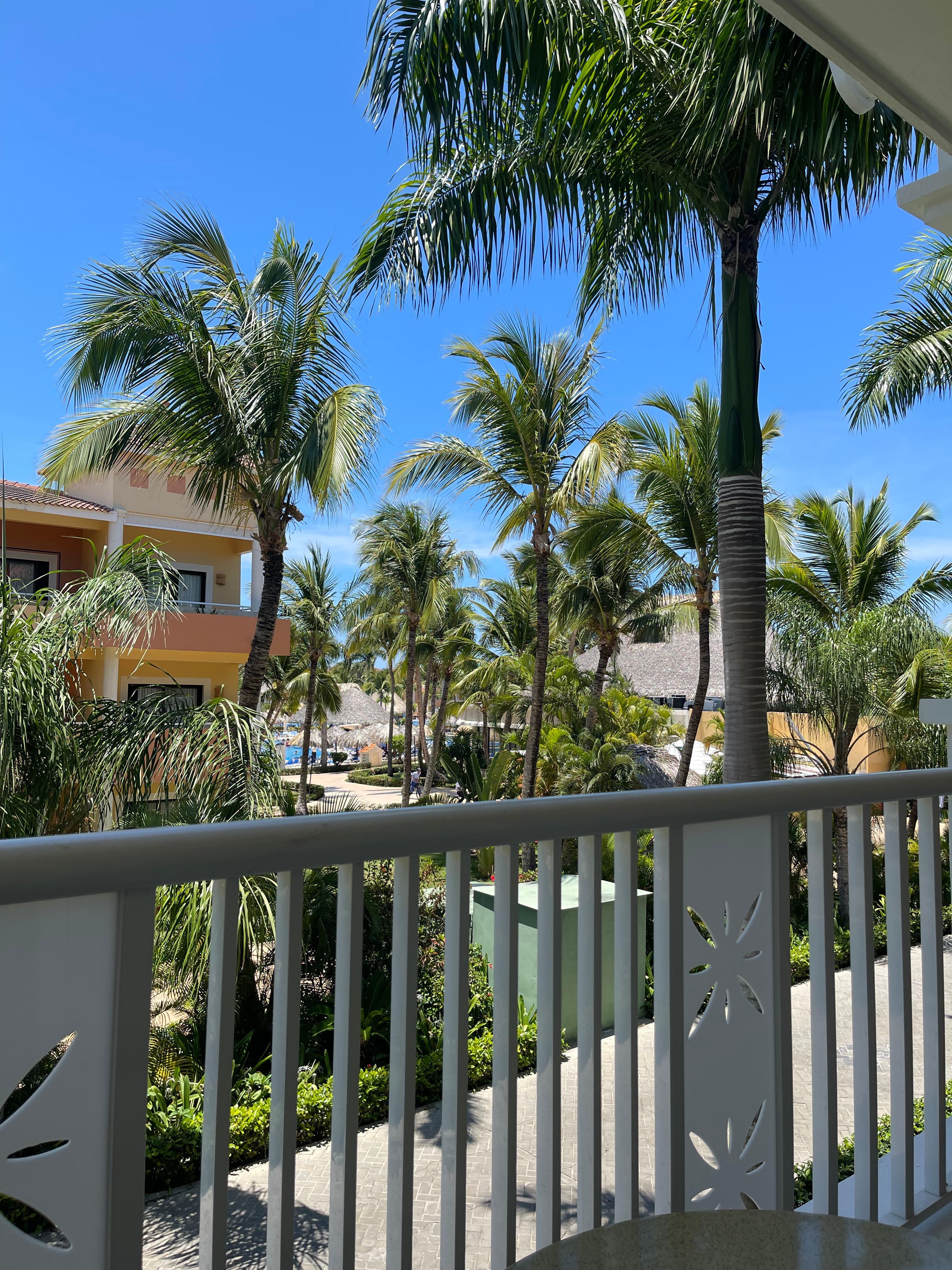 Room view