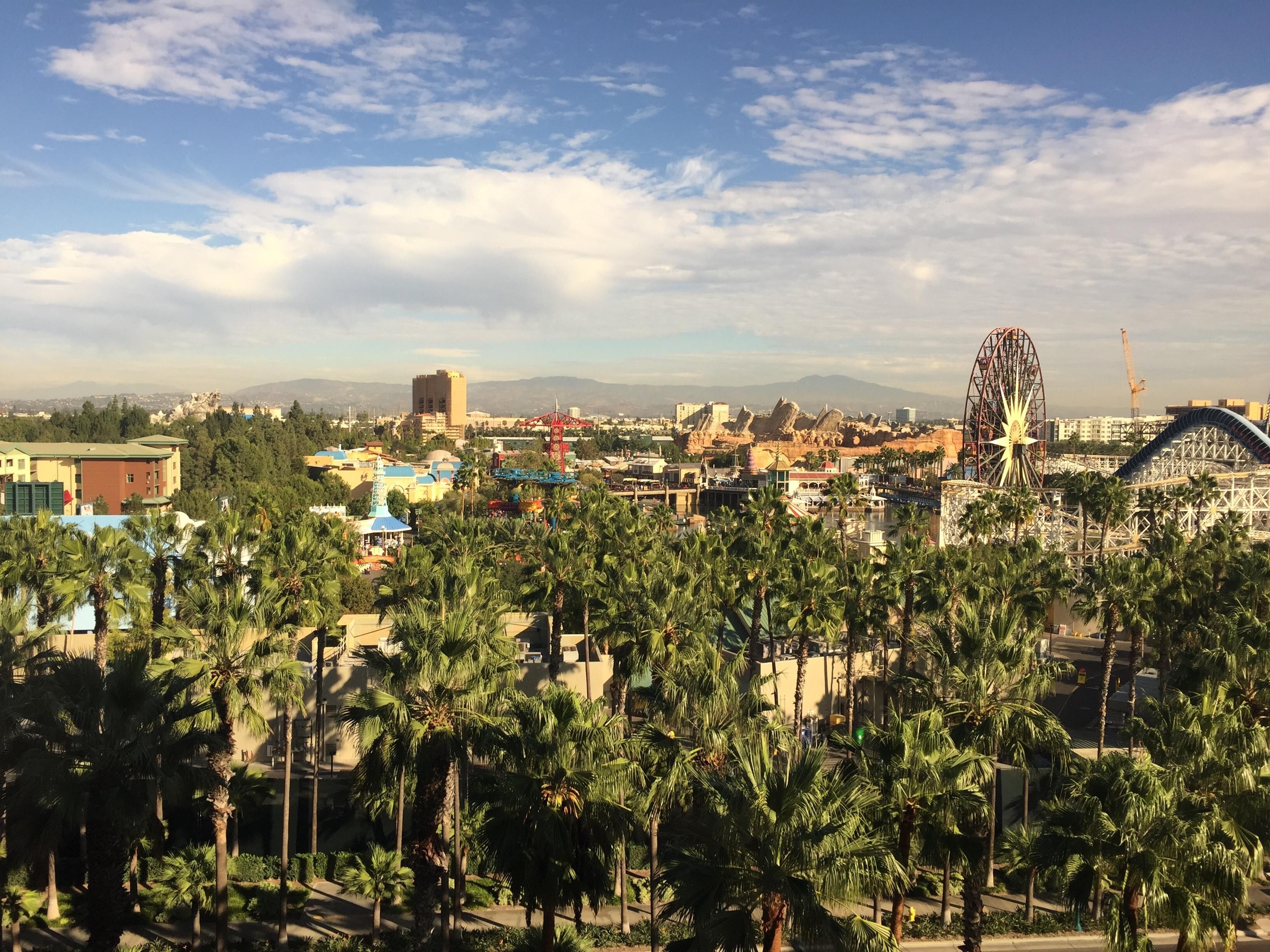 Great view during the day and even better view at night!