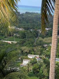 Ocean view