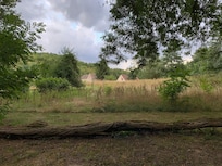 A view back to the house from the gardens