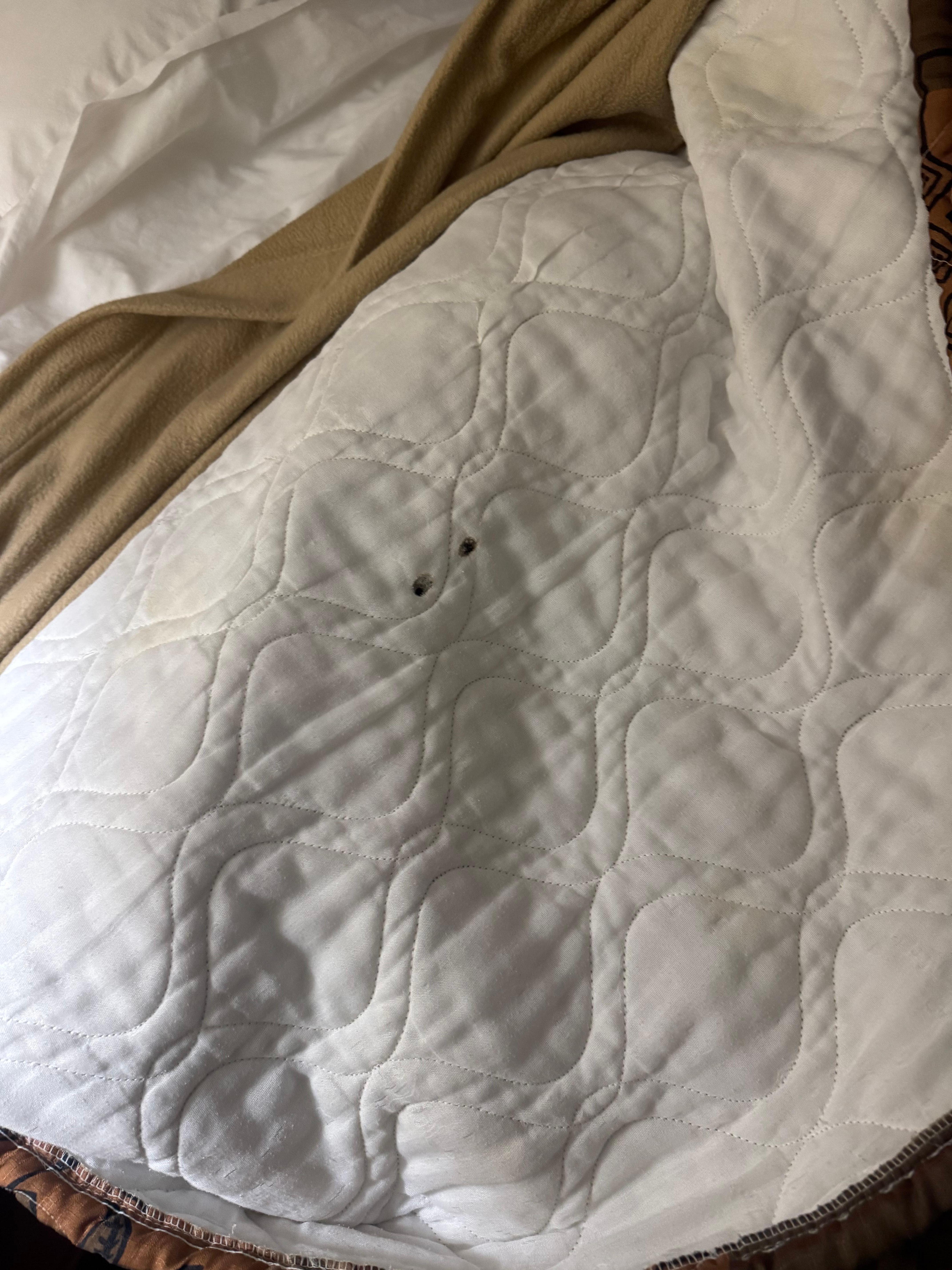 Burn holes in comforter. Either from cigarettes or joints. 