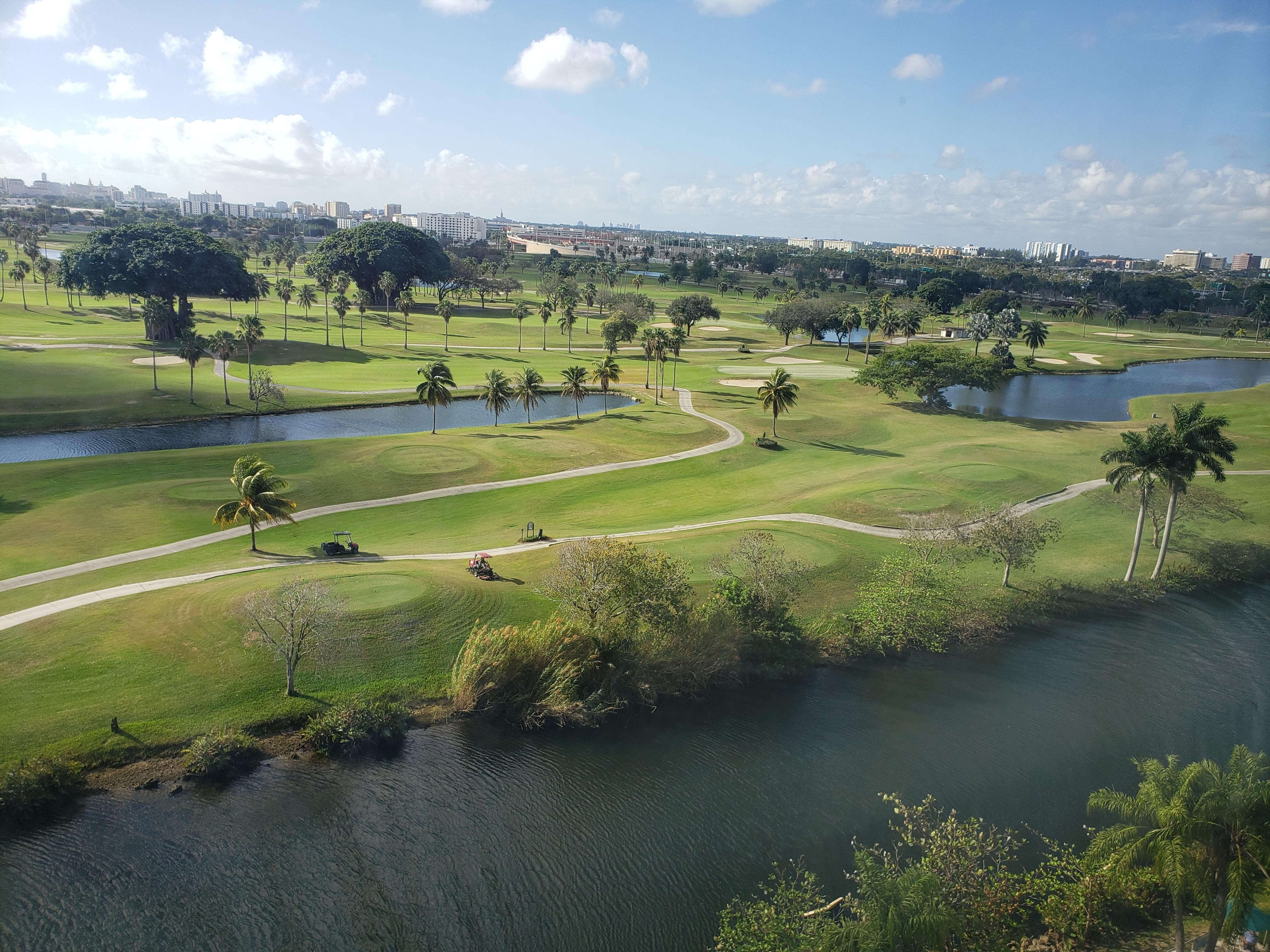 View from the room