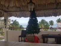 View from the rooftop bar