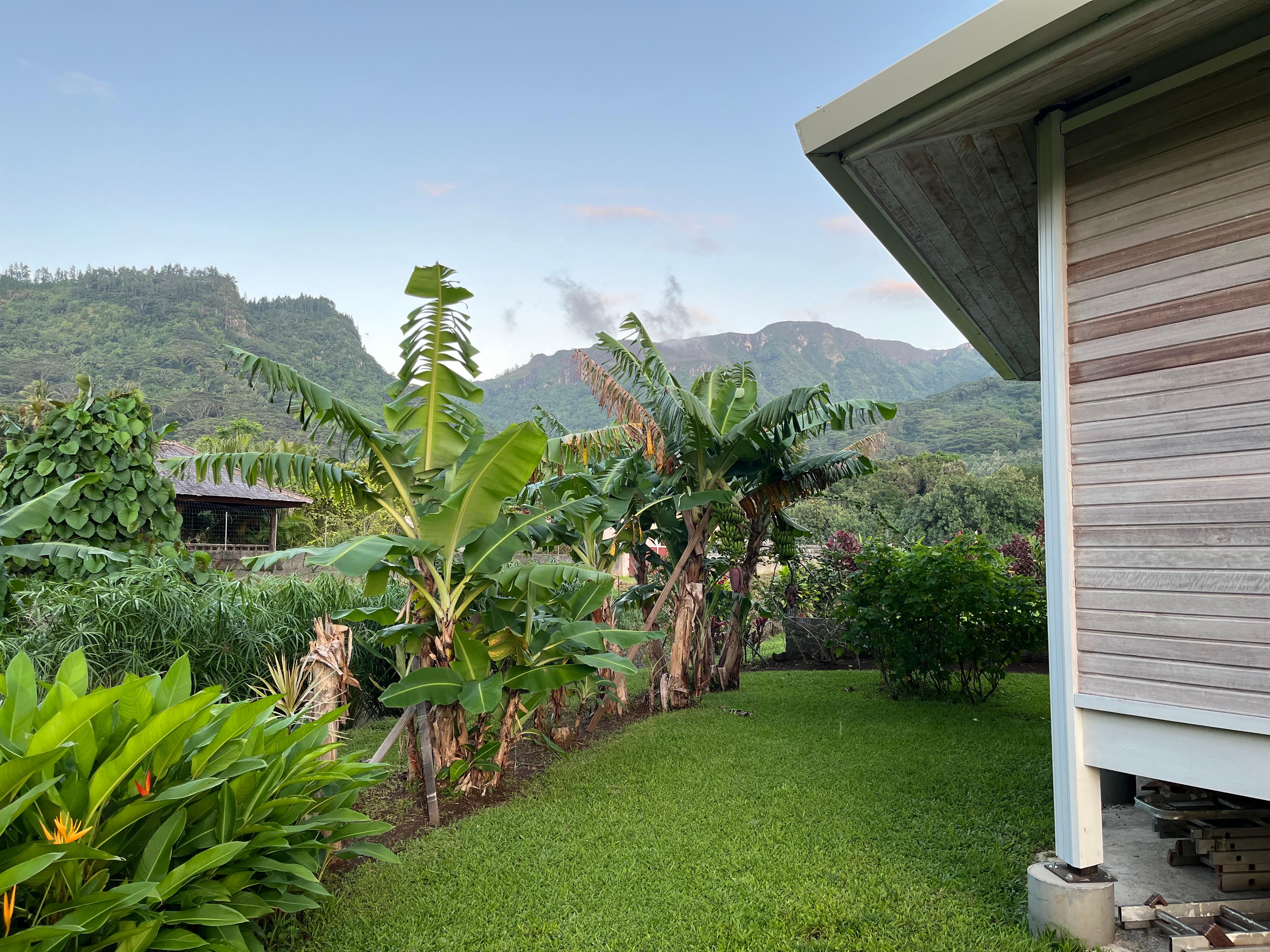 View to the mountains behind our bungalow 