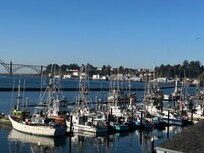Enjoyed listening to the sound of seals and birds in the morning from my balcony.