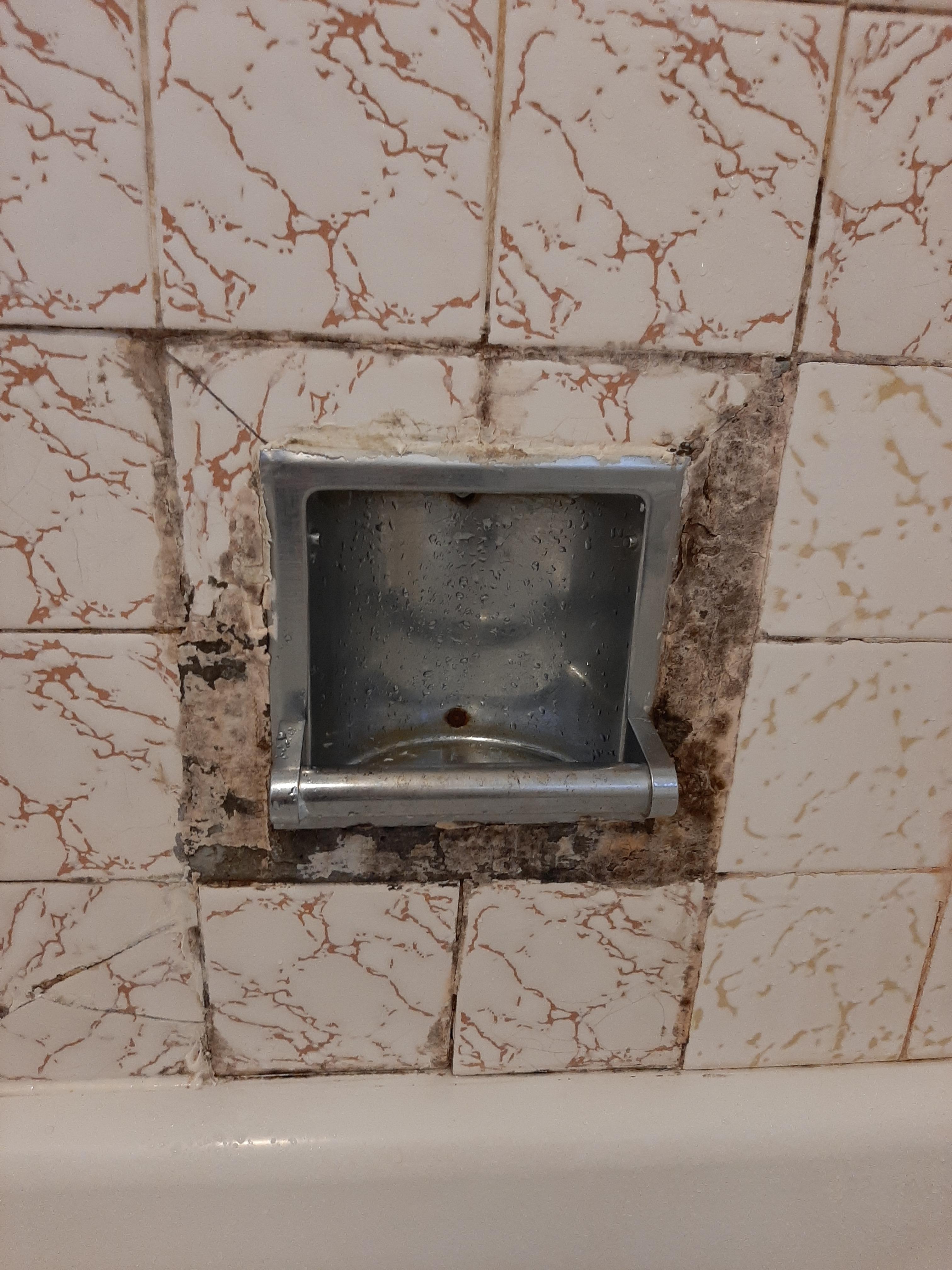 Mold by soap holder