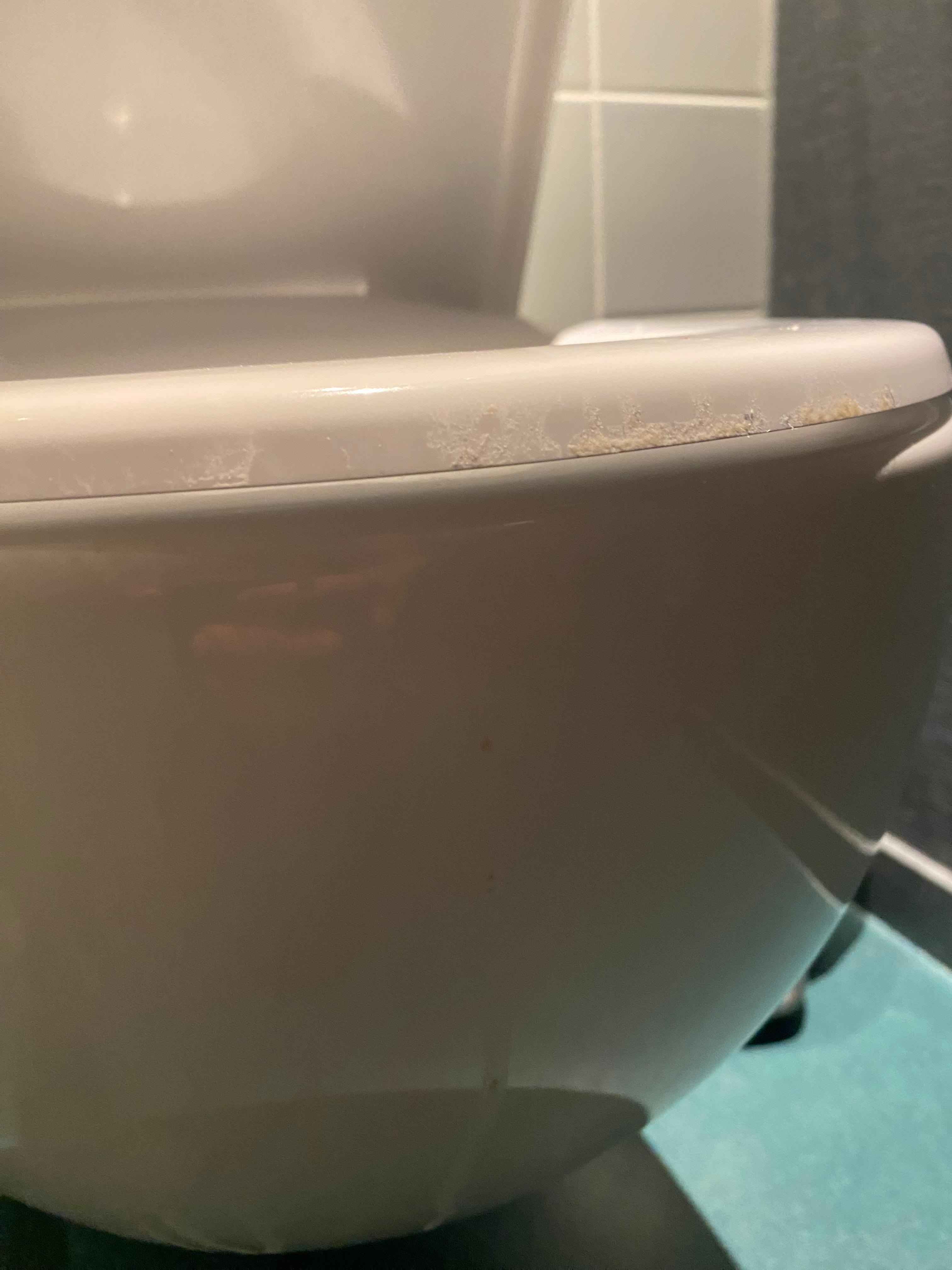 Dirty toilet when checking in and not even cleaned even though asked twice