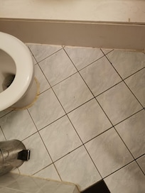 Mirad dentro del wc...negro!