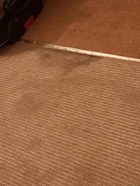 Stained carpet