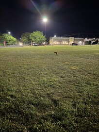 Near to shopping center