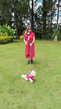 Polly amou o lugar