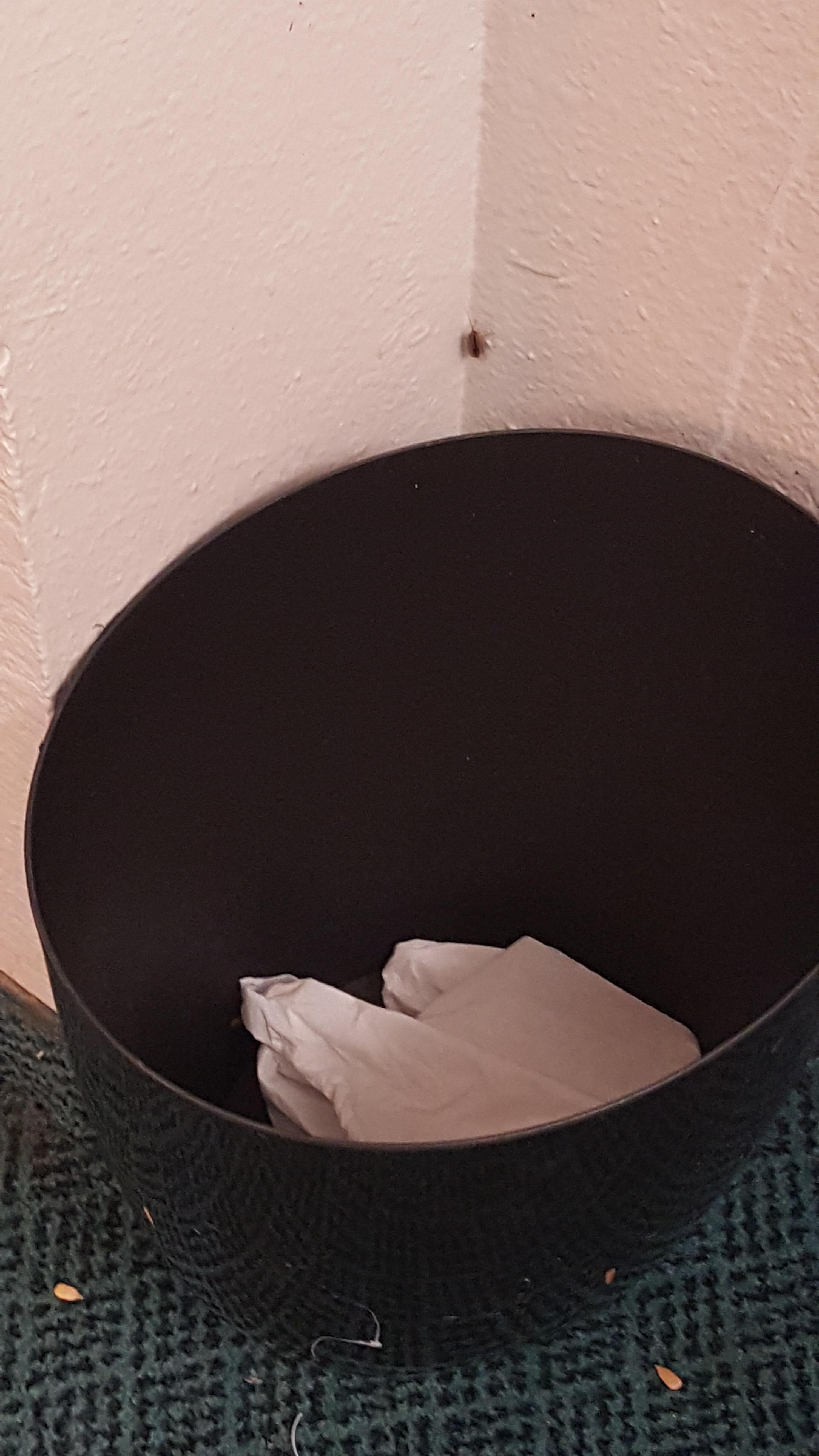 Roach and no room service