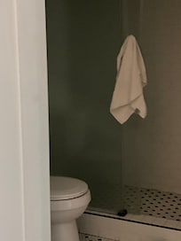 Nice shower room with toilet. Shampoo, conditioner, and soap provided.