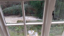 View of babbling stream from the bedroom window.