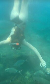 Beautiful clear water at the beach. Snorkeling with many fish.