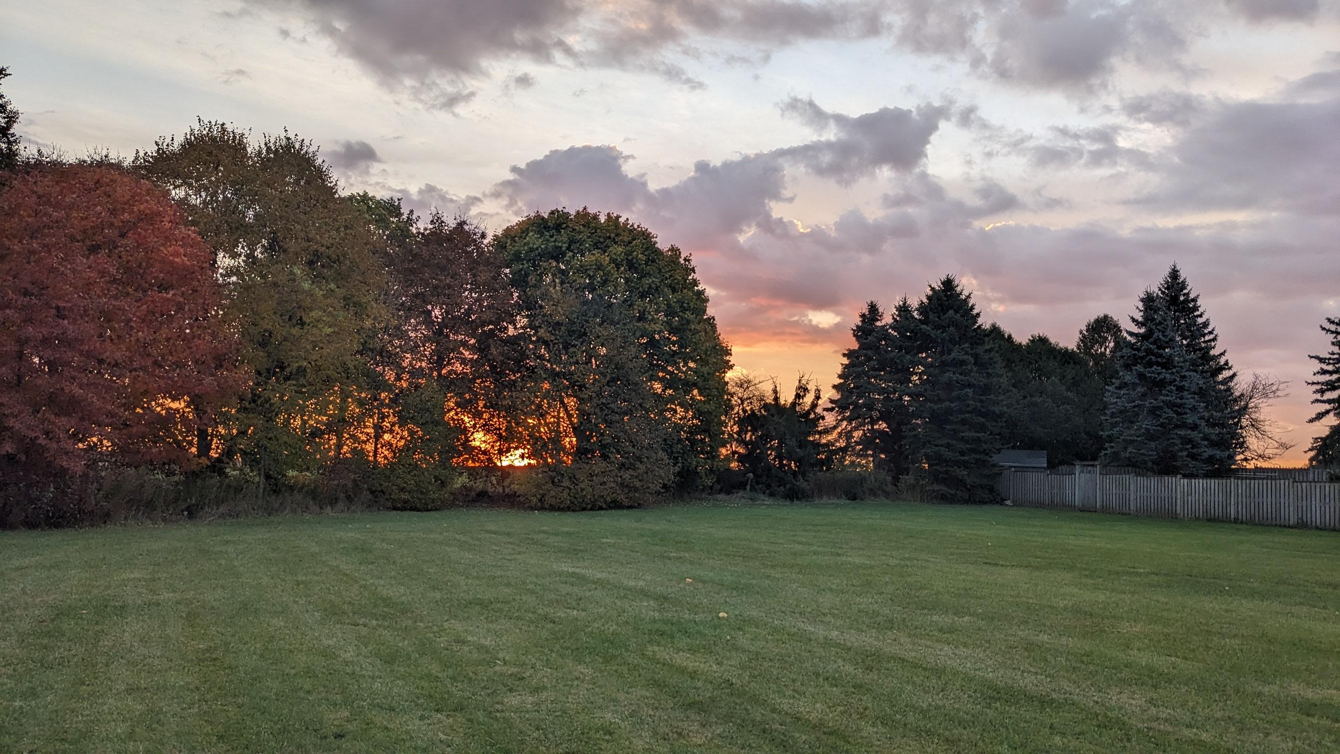 View from a nearby park