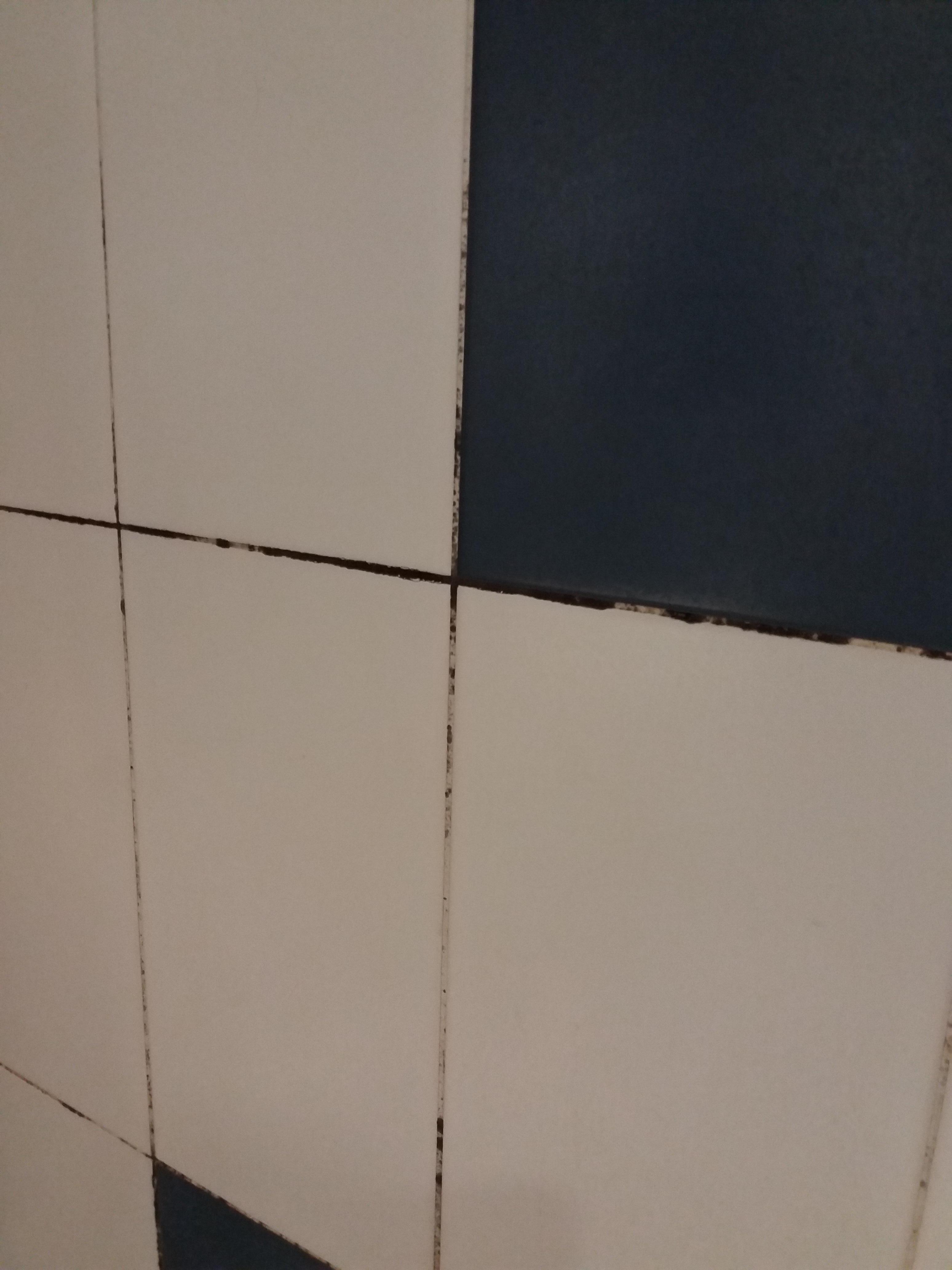 Shower/bath tiles