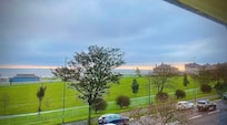 A view from my window