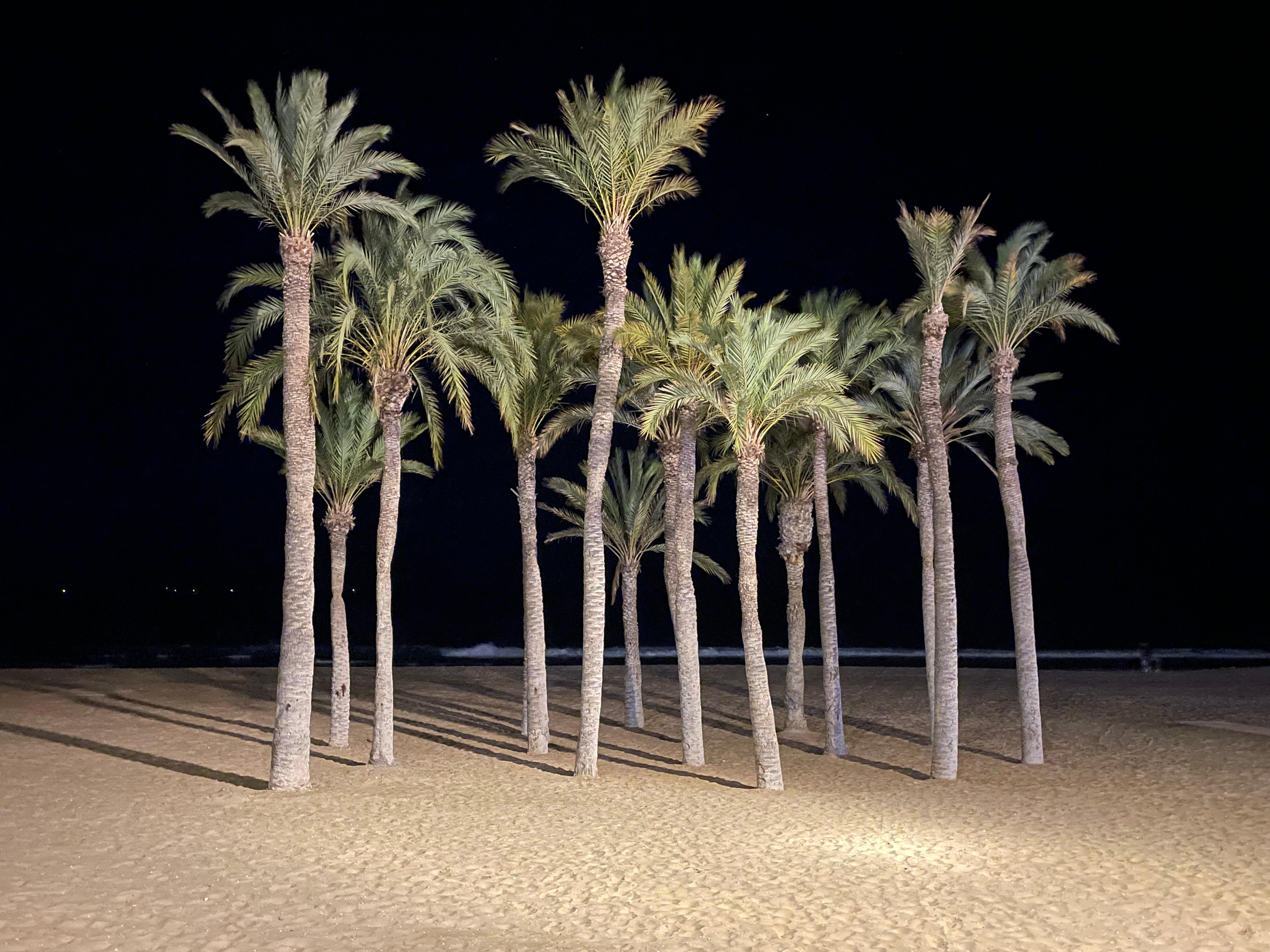 Strandpromenaden « by night»