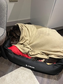We couldn’t afford the heating.