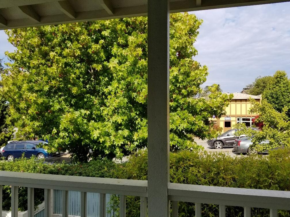 Street view from room
