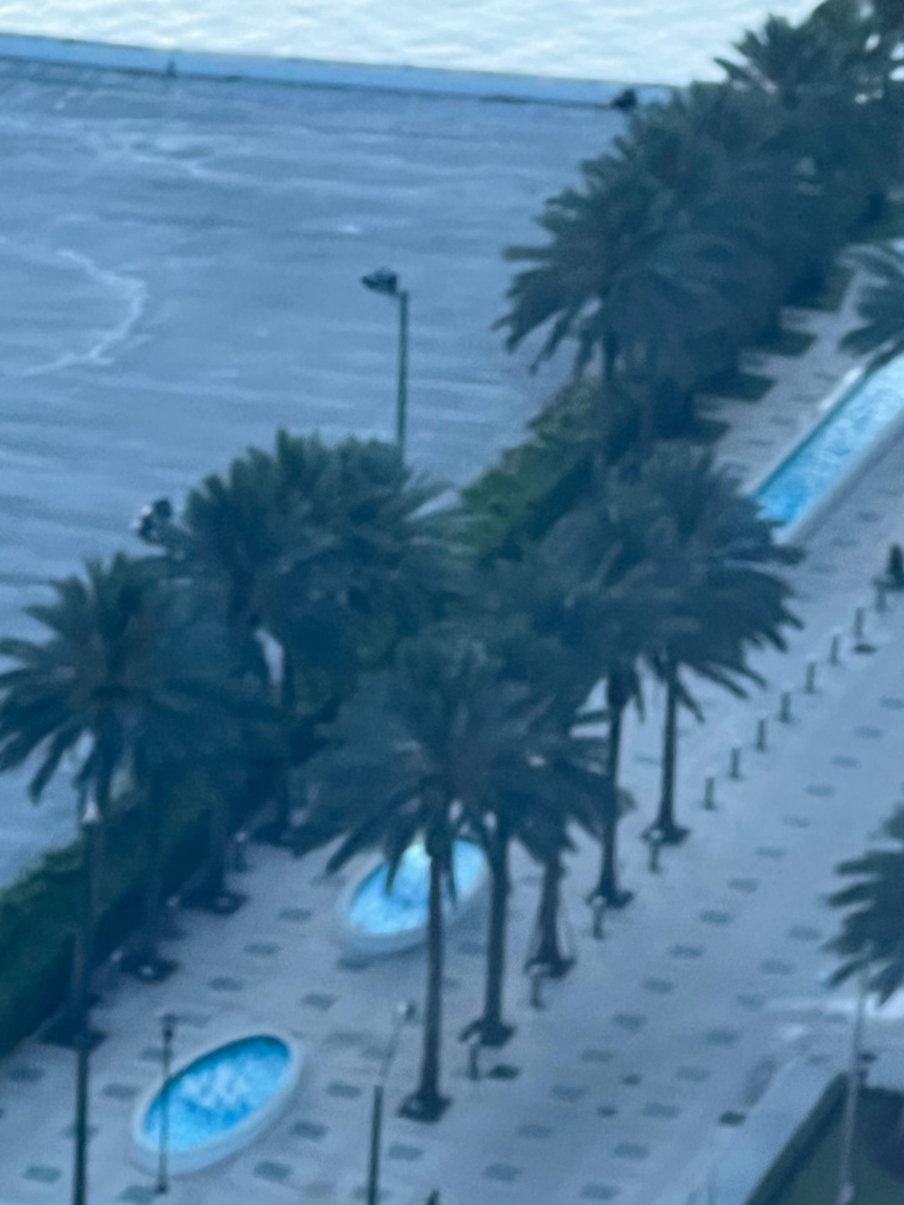 View from room