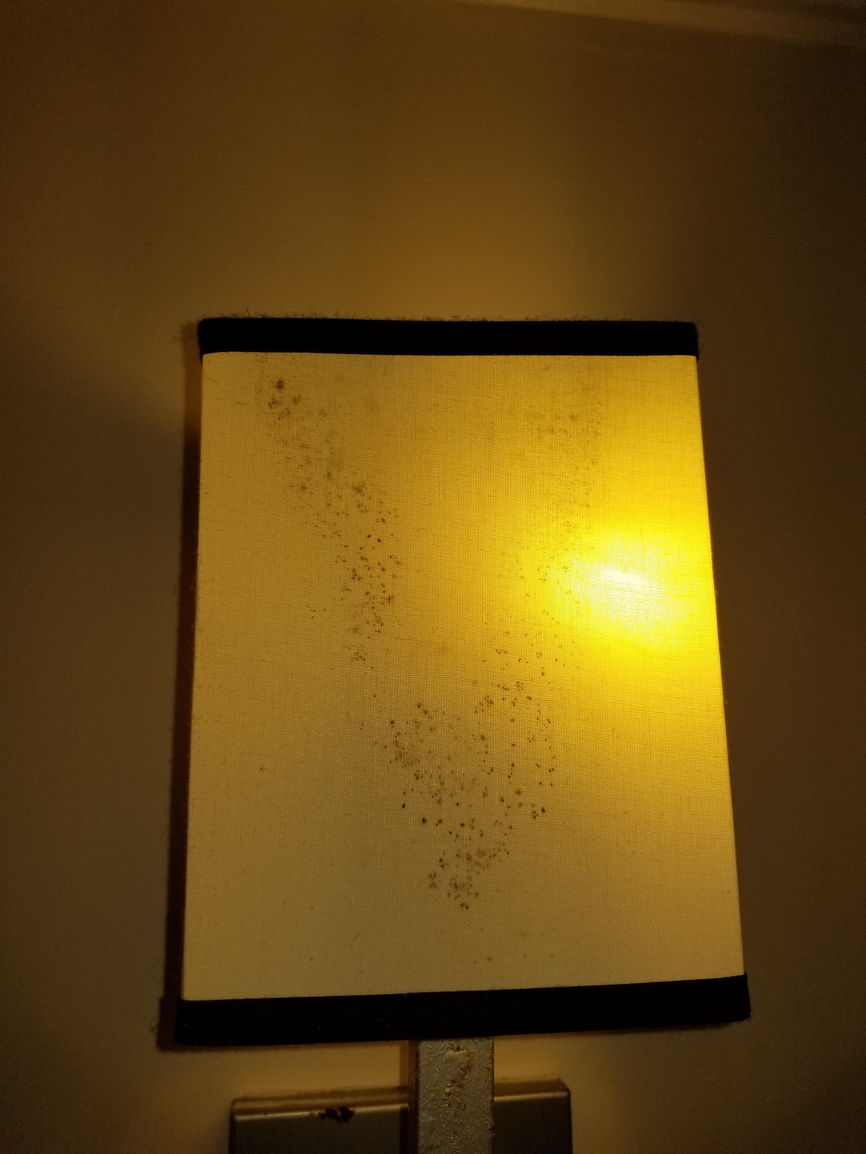 Mold on lamp shade