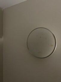 Light with dead bugs