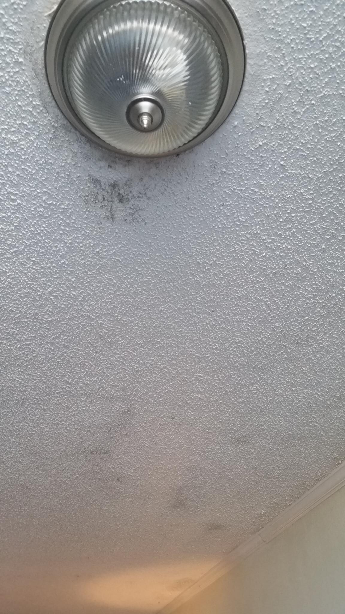 The dirty bathtub