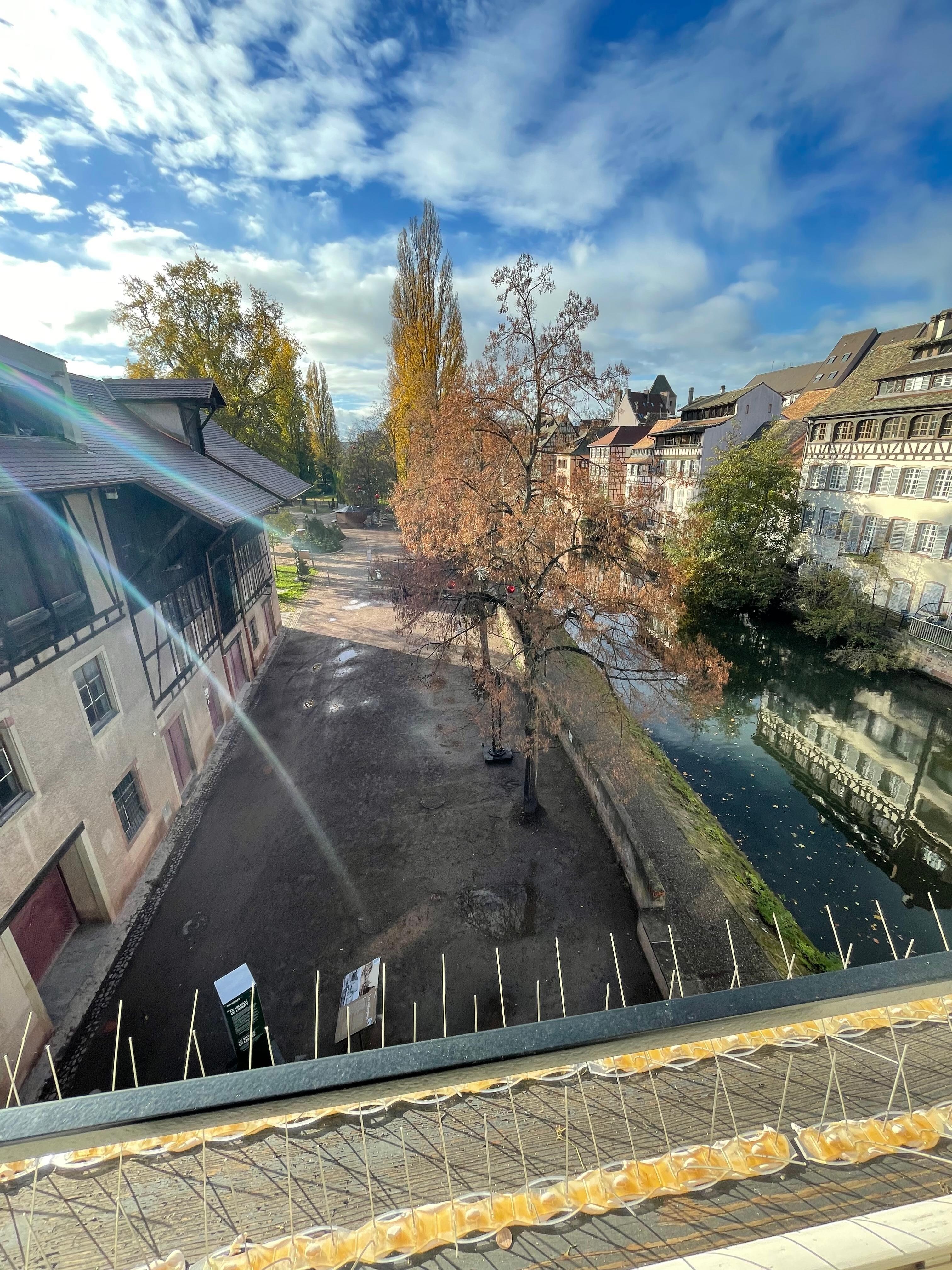 View from room
