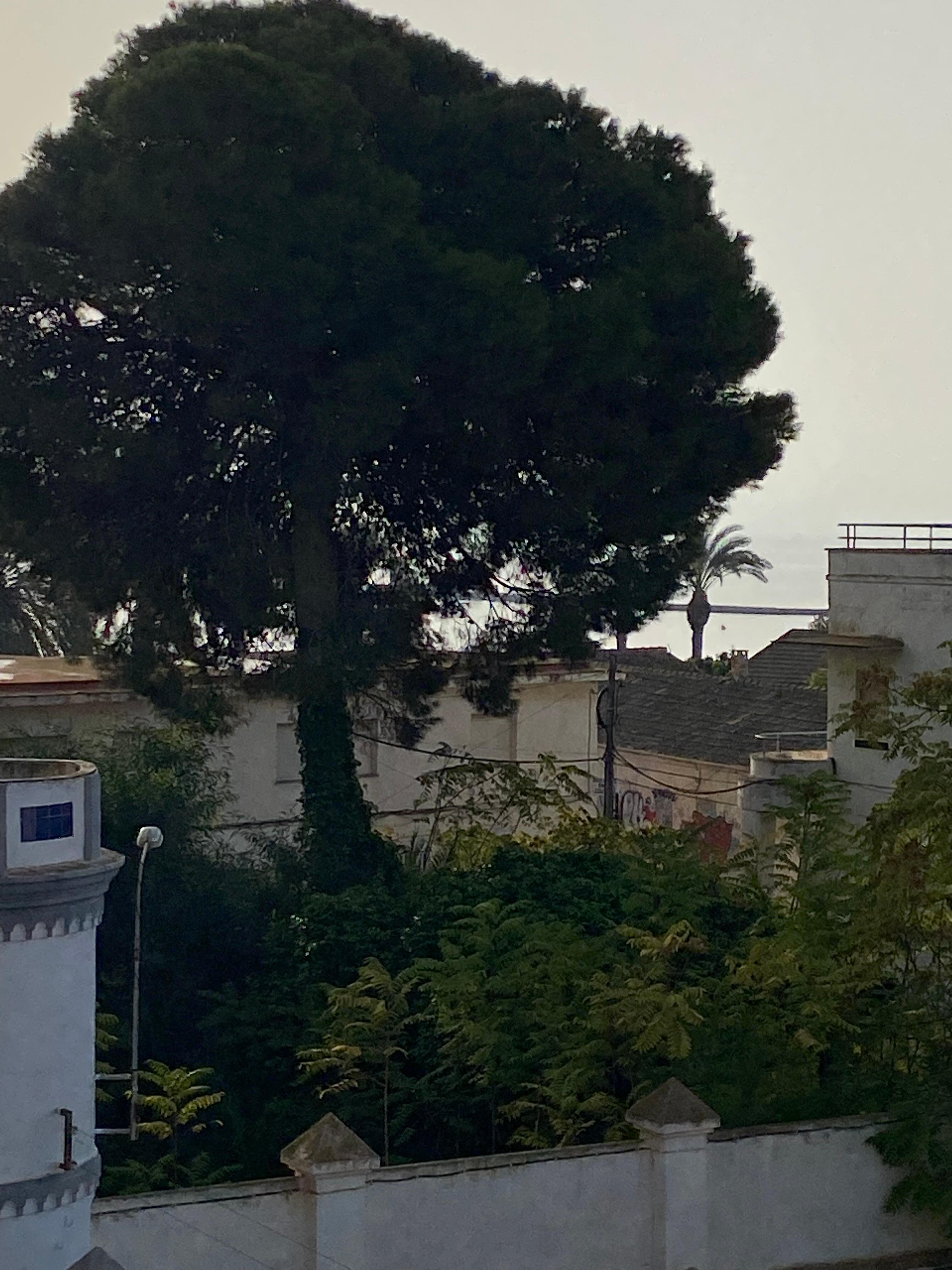 Vue de la chambre