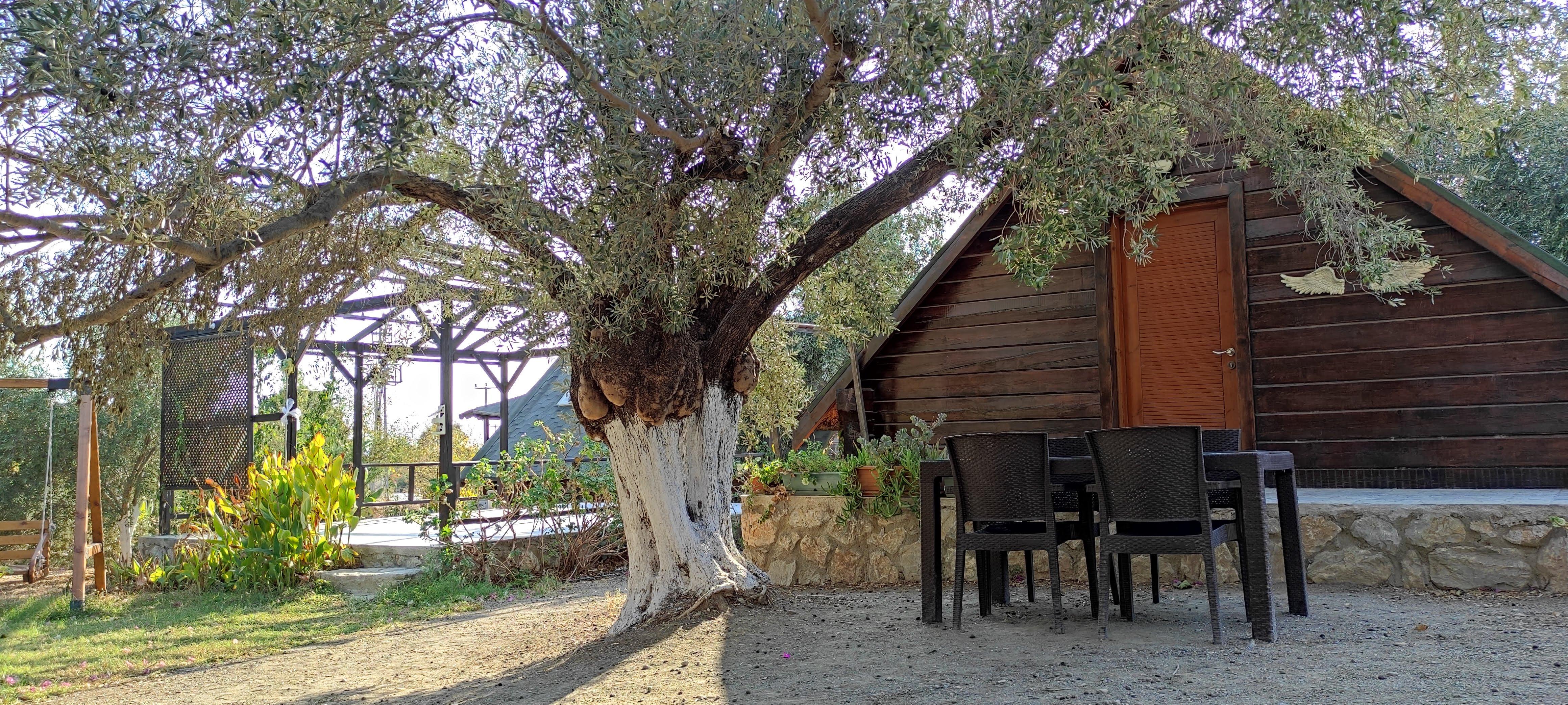 Harika Bungalow evler, ve Bahçe.