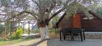 Harika Bungalow evler, ve Bahçe.
