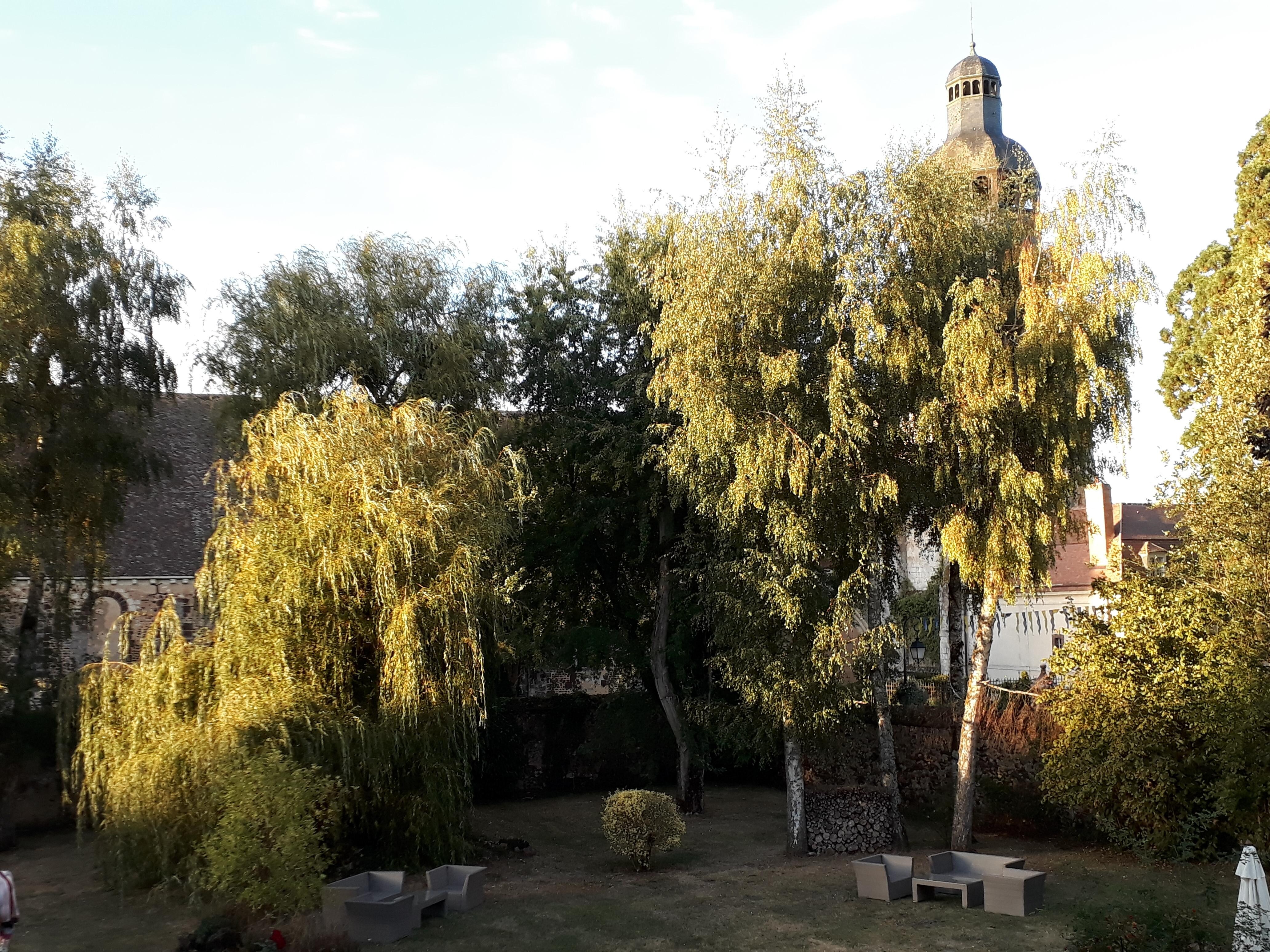 L abbaye dans son cadre de verdure 