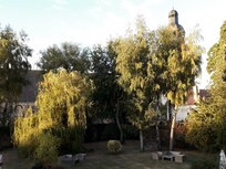L abbaye dans son cadre de verdure