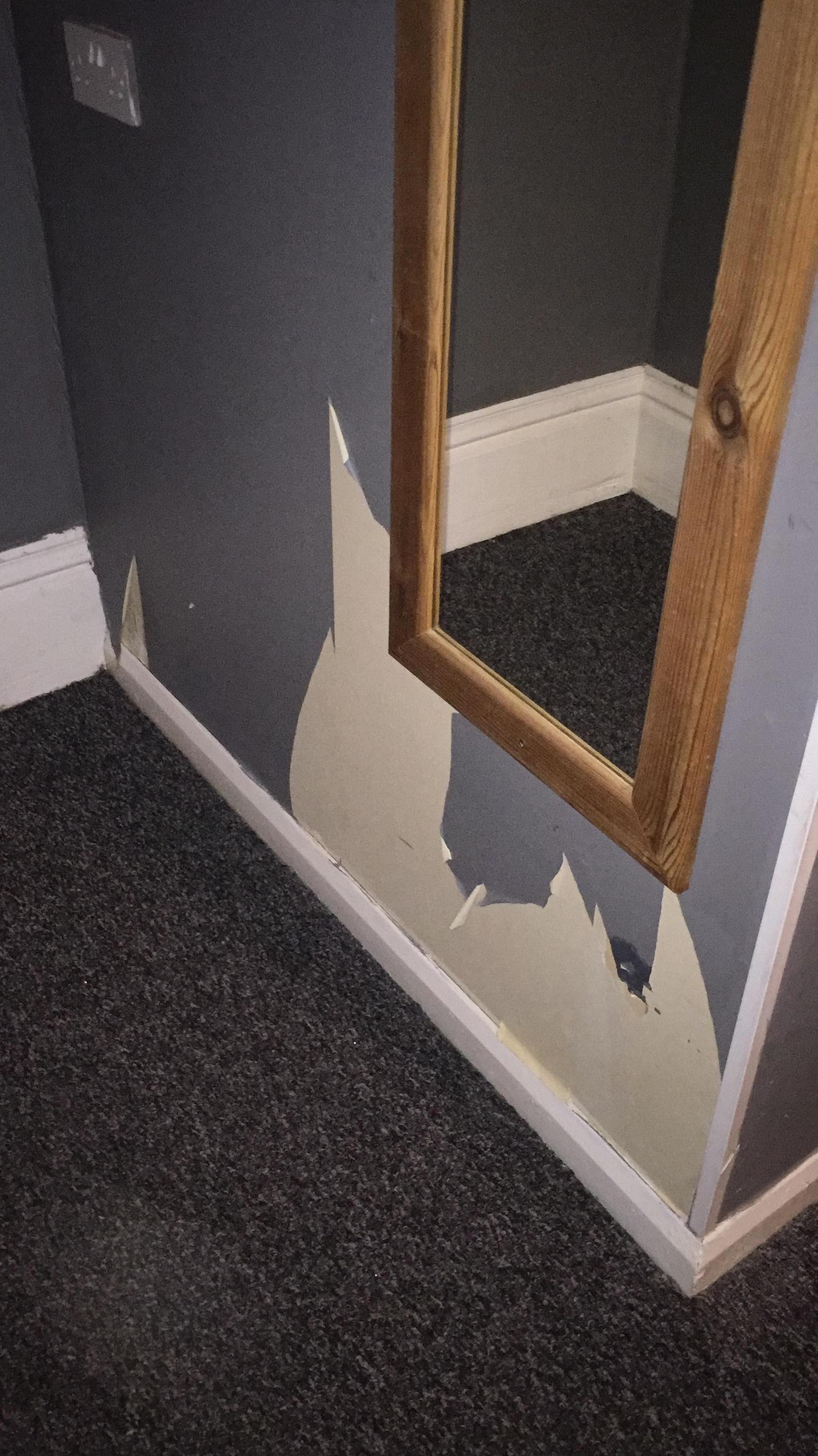 Room no6