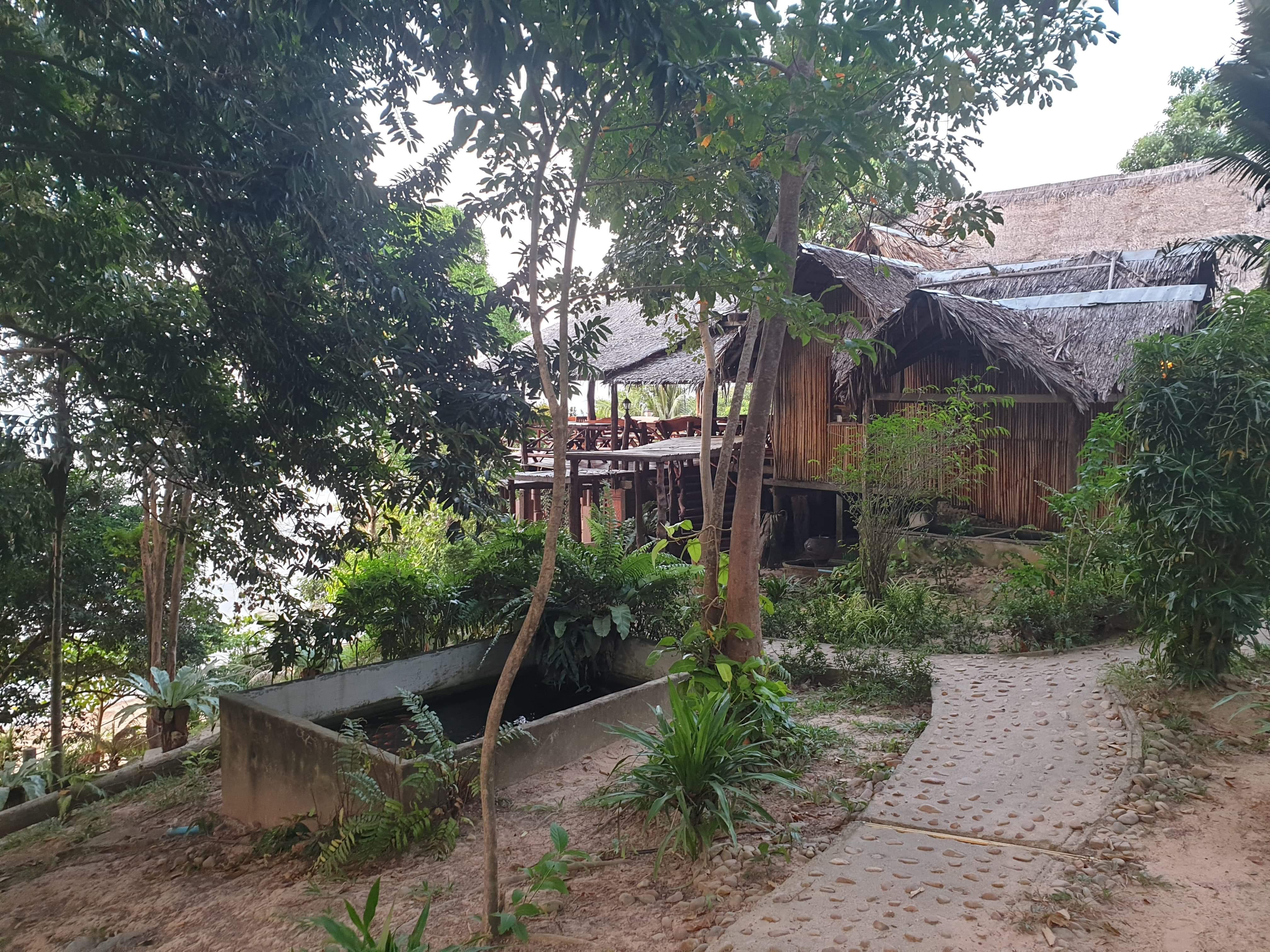 The gorgeous tree house bar and restaurant which overlooks the sea 