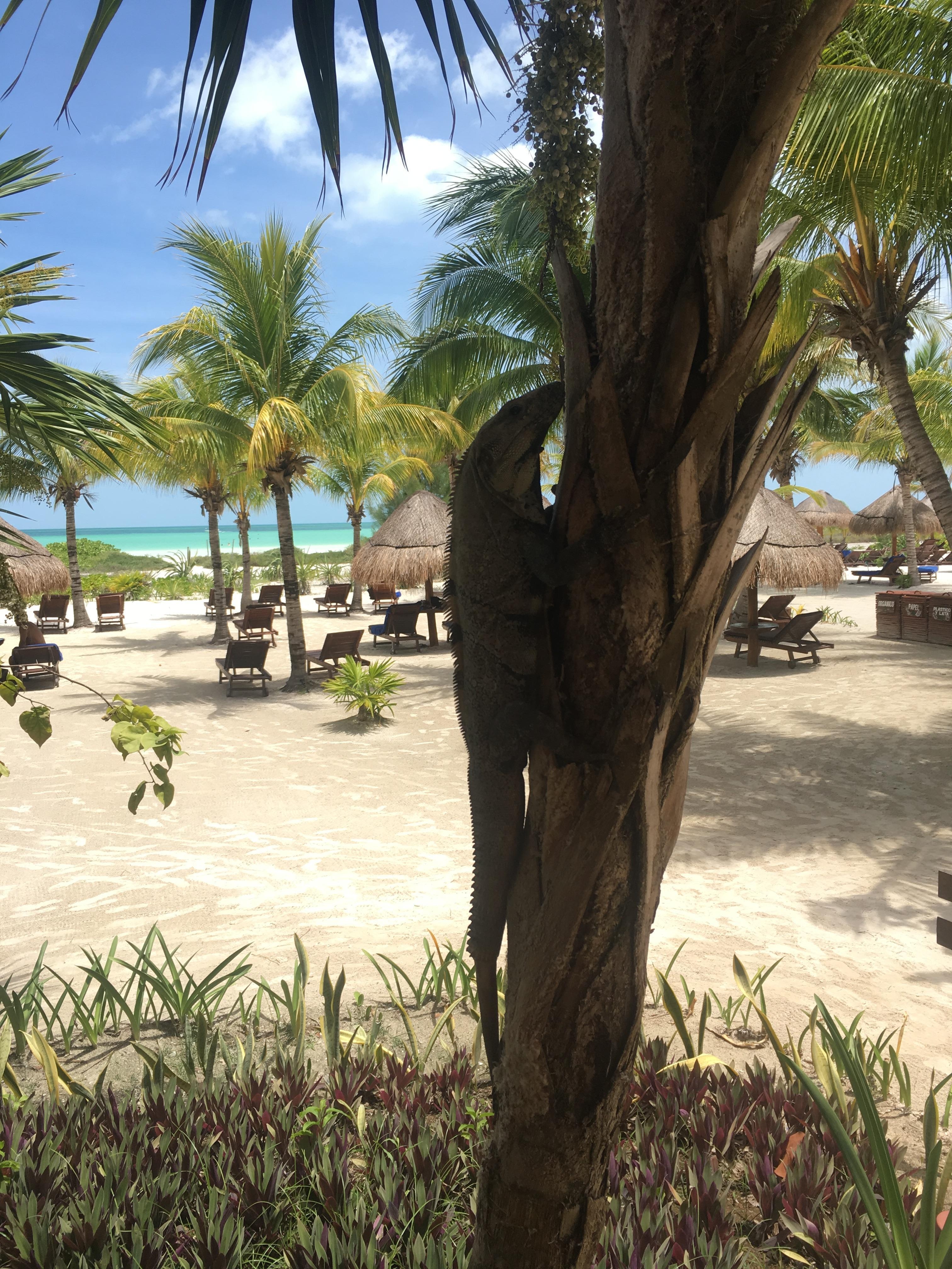 Villa number 100. Closest to the beach.