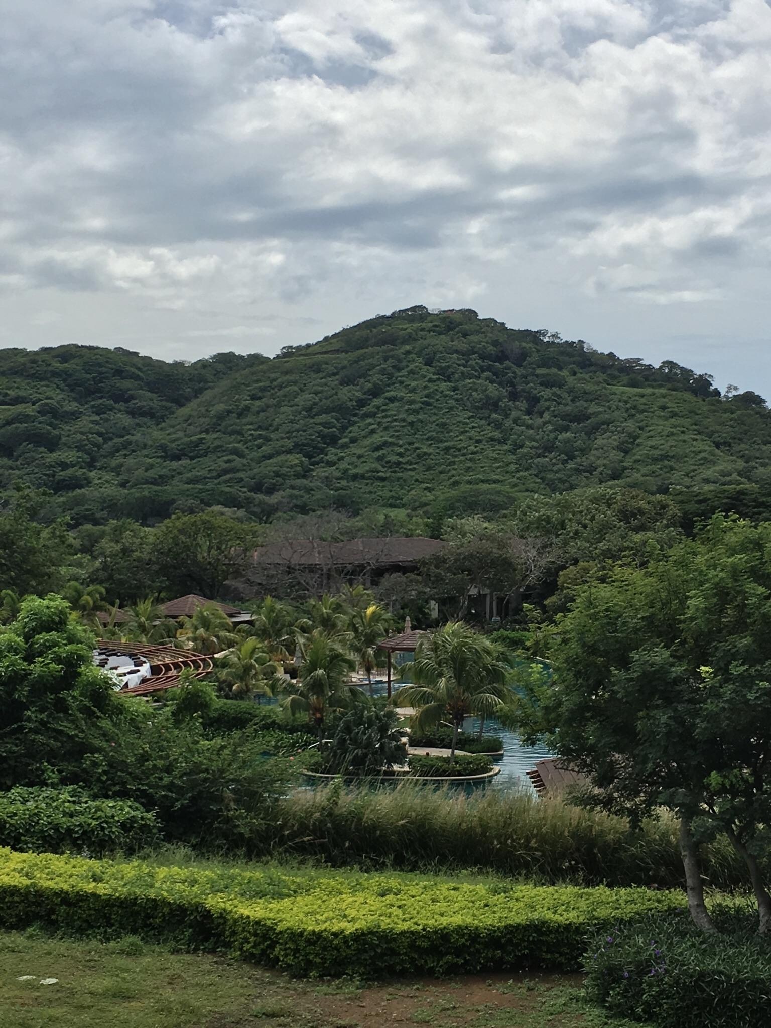 The view from building 8A