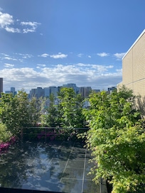 Rooftop garden