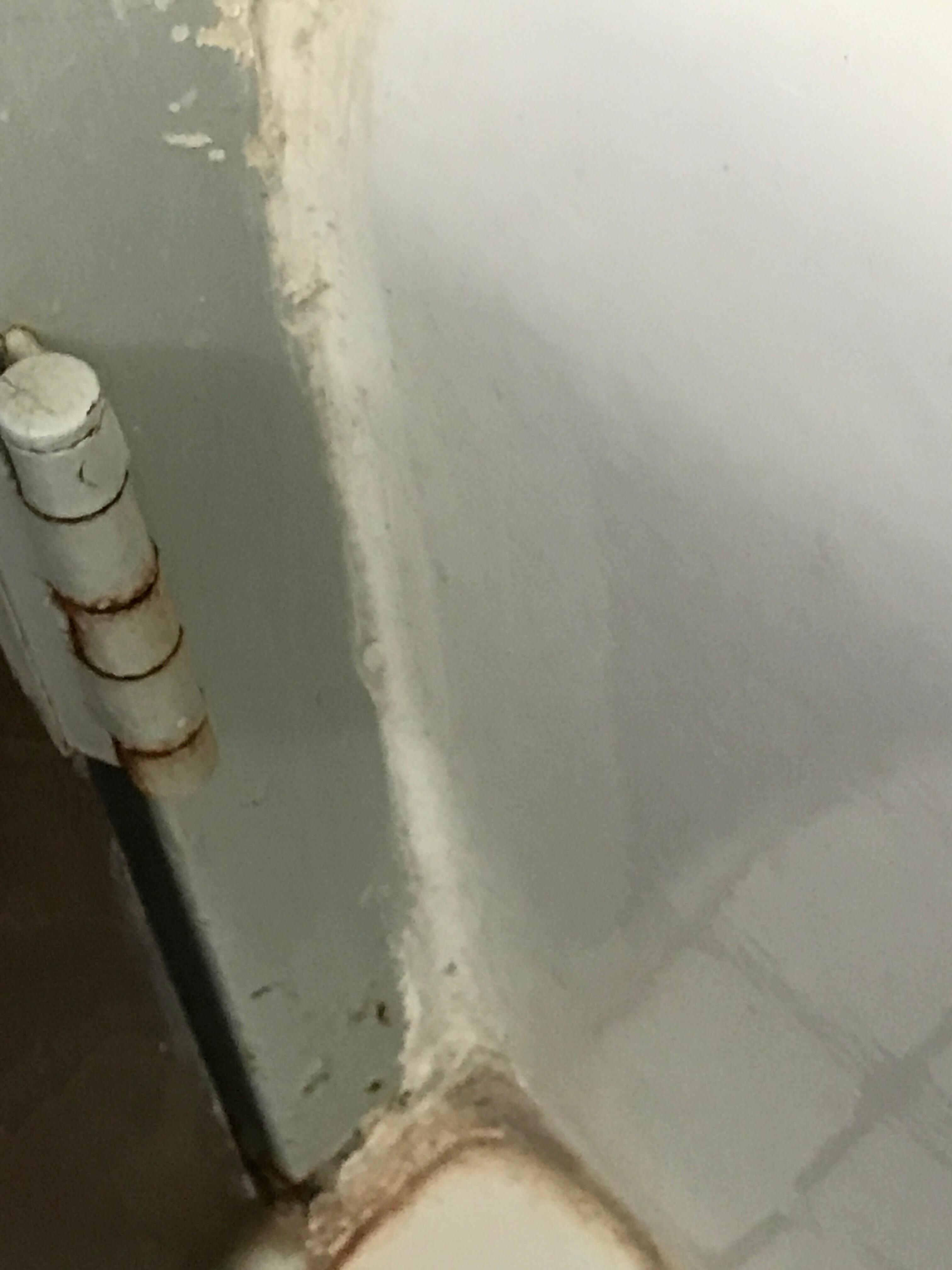 Mold