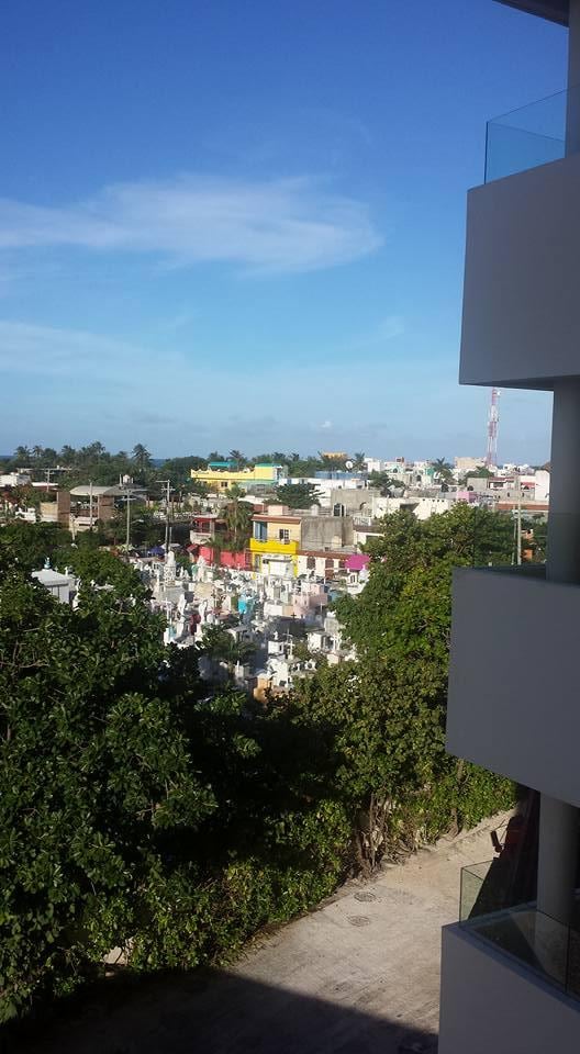 View out bathroom window