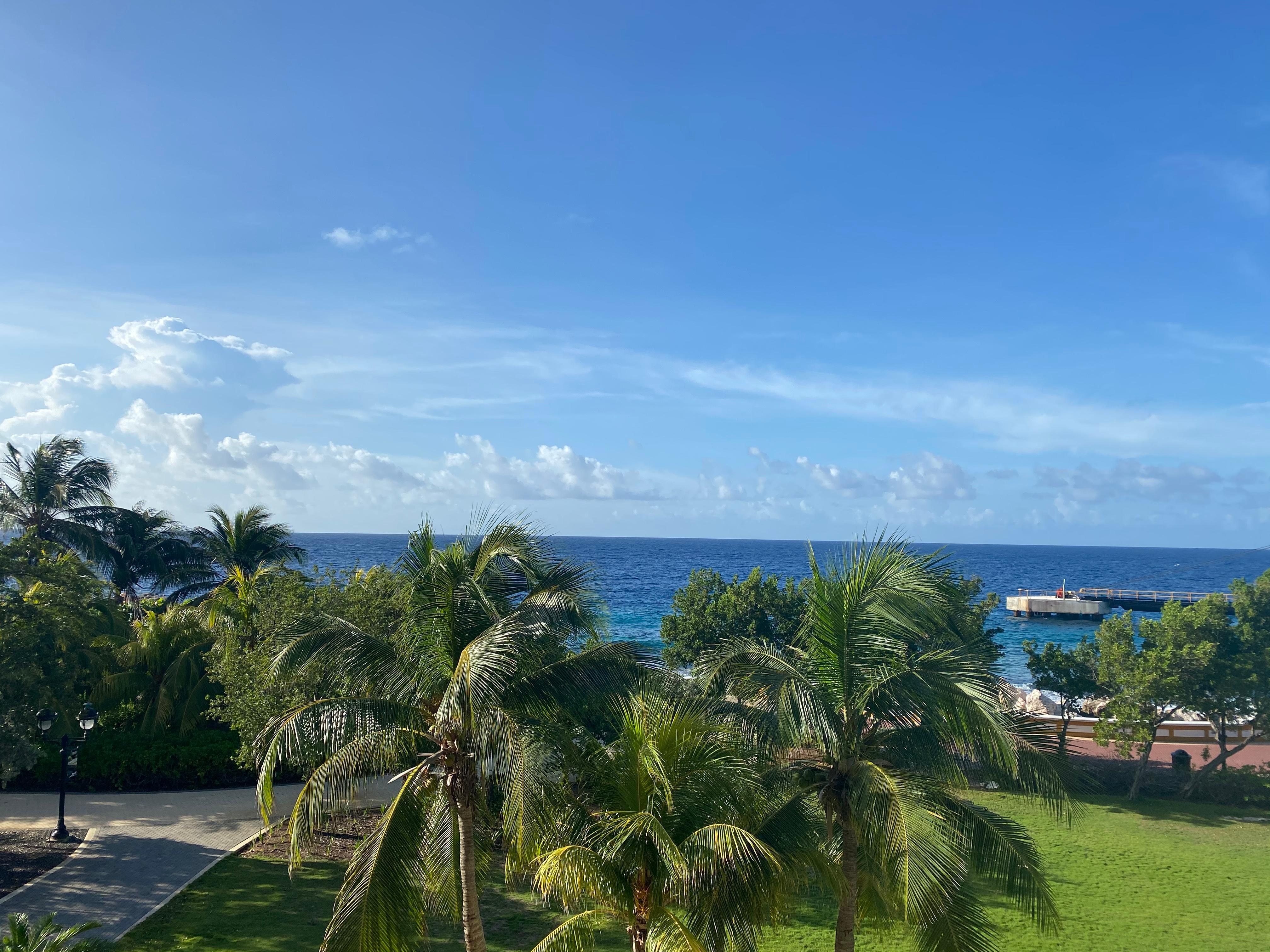 Room view