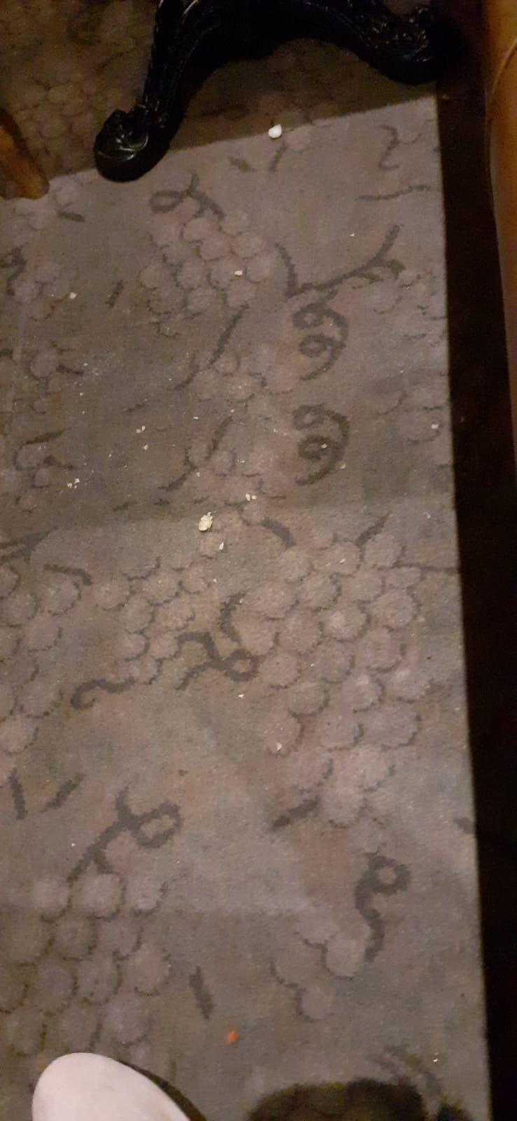 Dirty carpet in dining area 