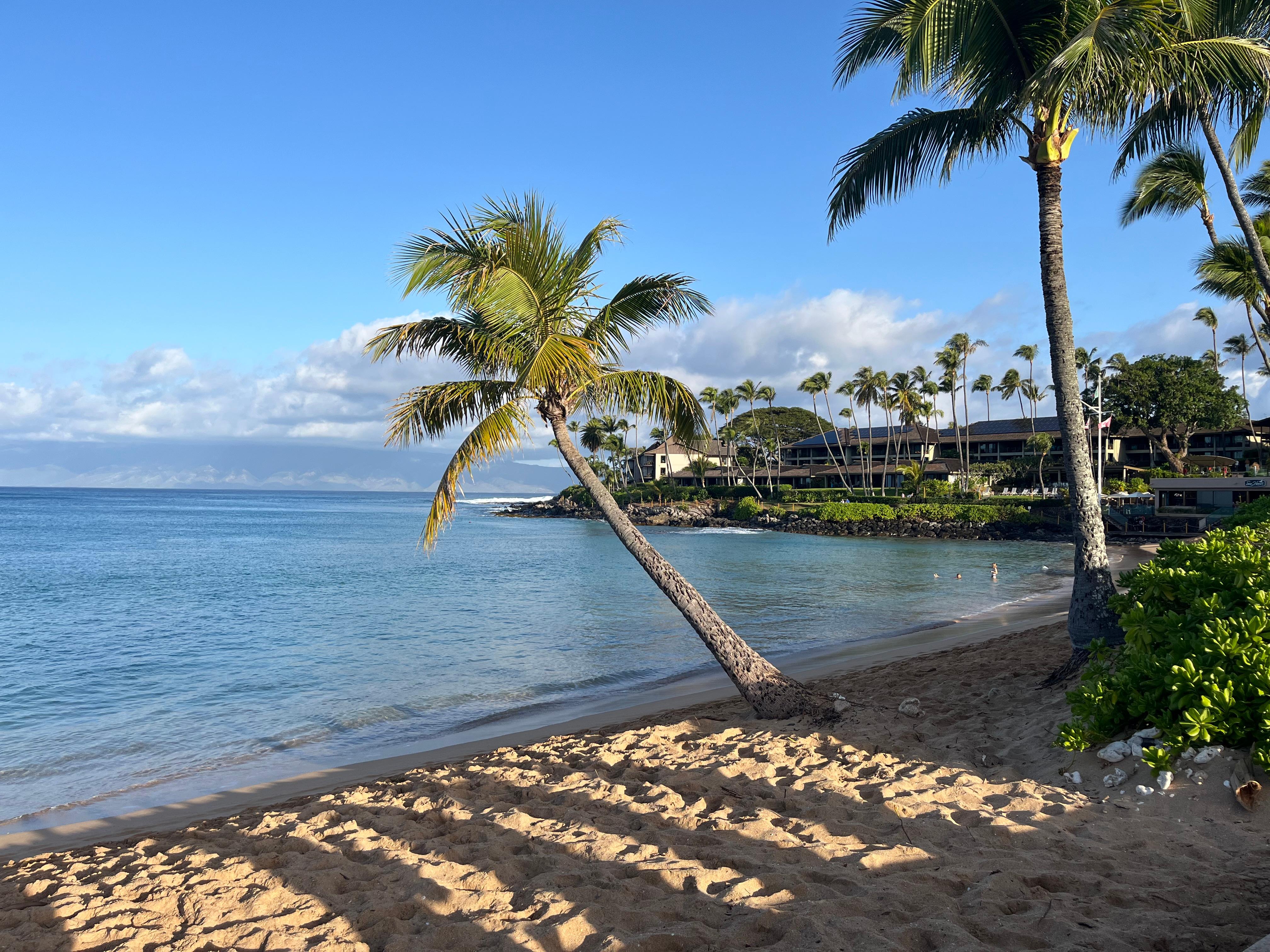 Napili Bay