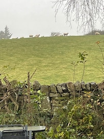 View from the back door
