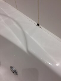 What appeared to be black mold on the bathtub, on our arrival