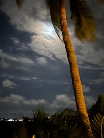 Night skies from room,