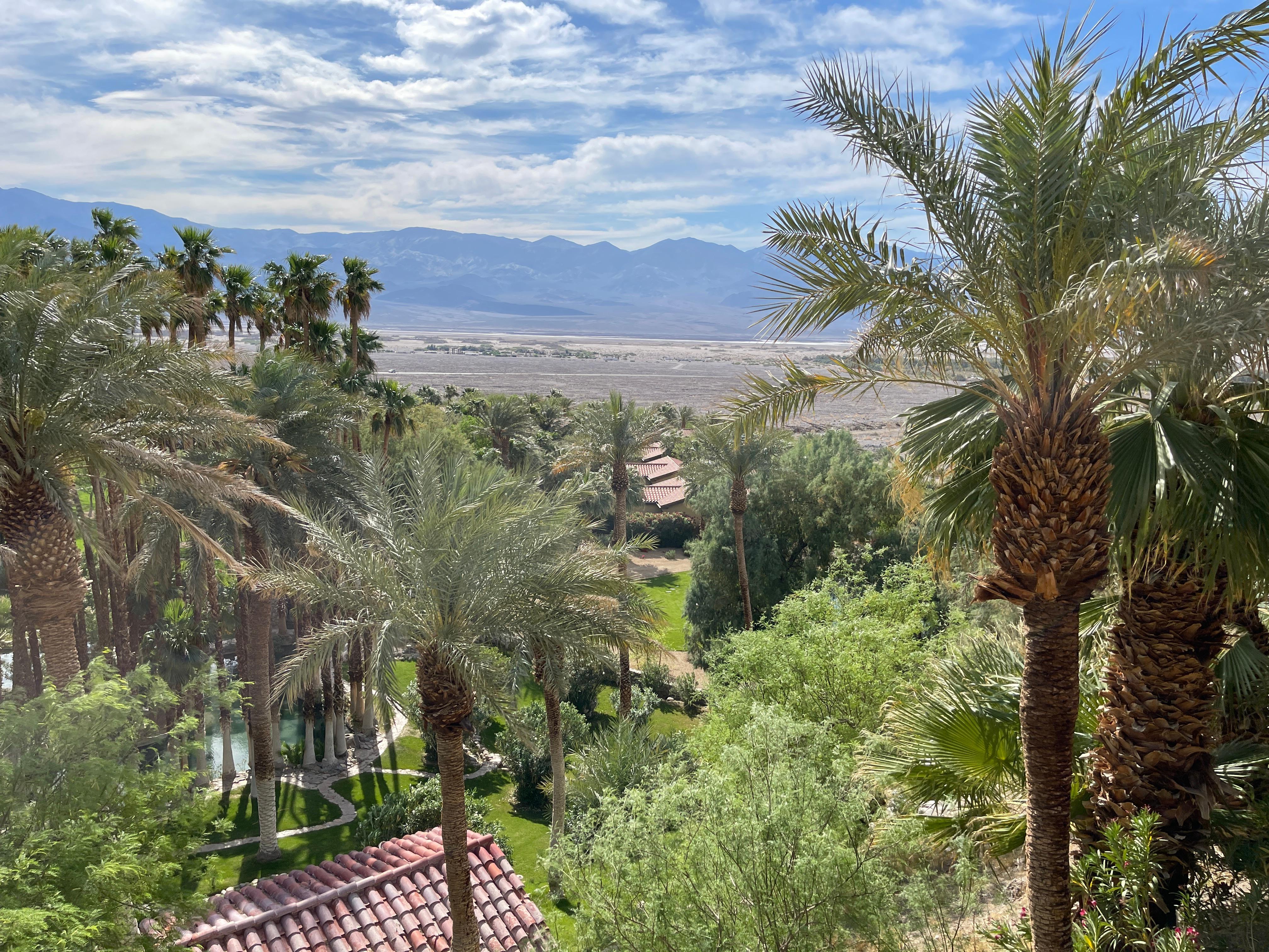 View from the room