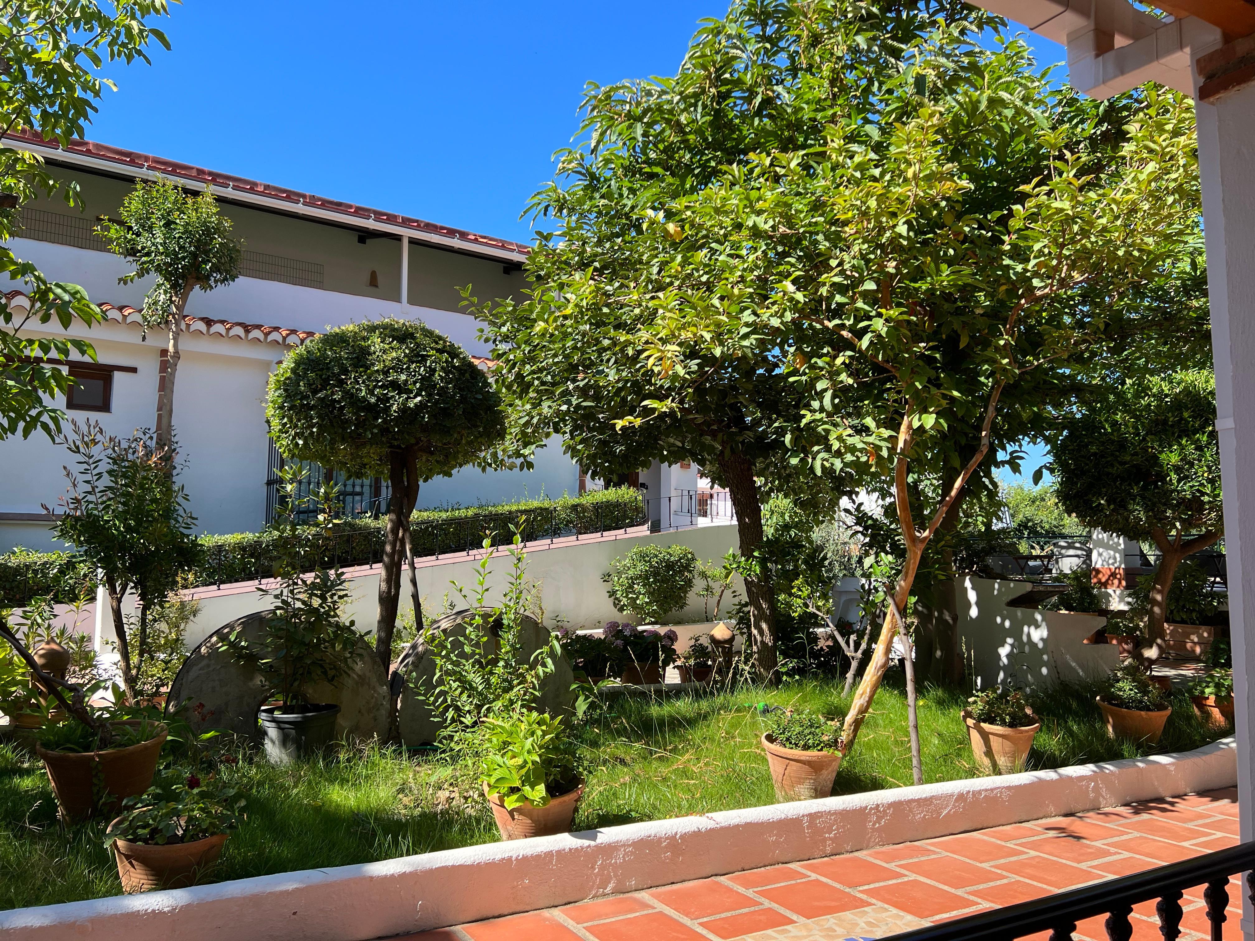 Garden courtyard 